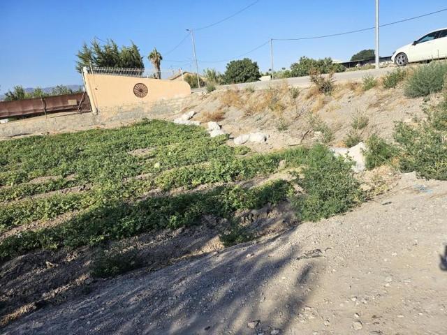 Parcela en venta en Lorca, Torrecilla photo 0