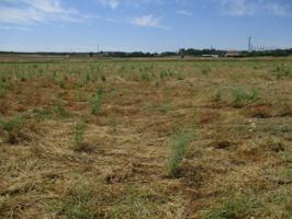 Parcela en venta en Almansa, Ruesca photo 0