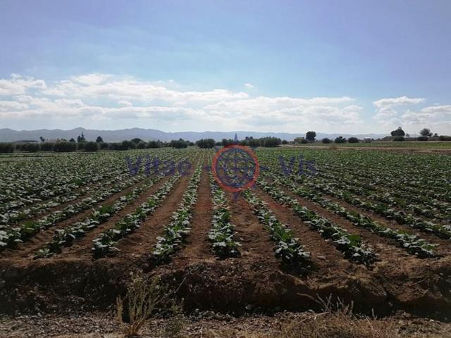 Parcela en venta en Lorca, Tercia photo 0