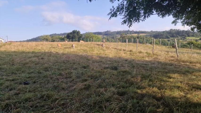 Parcela en venta en Villaviciosa, San Miguel de Arroes photo 0