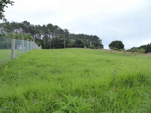 Parcela en venta en Illas, Viescas photo 0