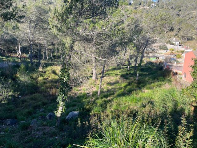 Parcela en venta en Canyelles, Vora Sitges photo 0
