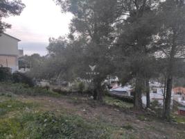 Parcela en venta en Canyelles, Vora Sitges photo 0