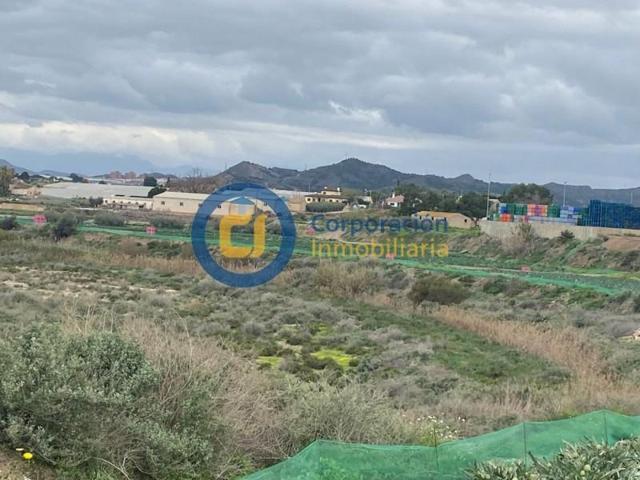 Parcela en venta en Lorca, Tercia photo 0