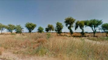 Parcela en venta en Écija, Écija photo 0