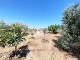 Parcela en venta en Córdoba, Andalucia photo 0