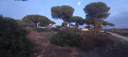 Parcela en venta en Chiclana de la Frontera, La Espartosa photo 0