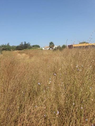 Parcela en venta en Chiclana de la Frontera, Tejarejo photo 0