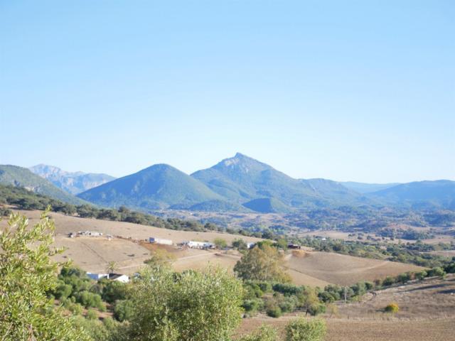 Parcela en venta en Prado del Rey, OTRAS photo 0