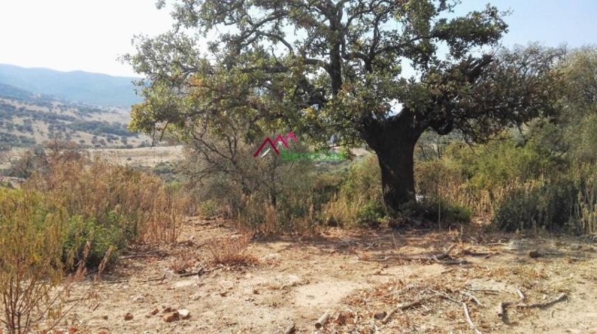 Parcela en venta en Ubrique, CAÑADA DE LOS GAMONALES photo 0