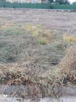 Parcela en venta en Villarreal, Madrigal photo 0