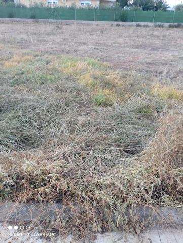 Parcela en venta en Villarreal, Madrigal photo 0