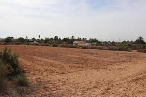 Parcela en venta en Elche, Balsares photo 0