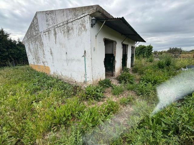 Parcela en venta en Jerez de la Frontera, Pedanias photo 0