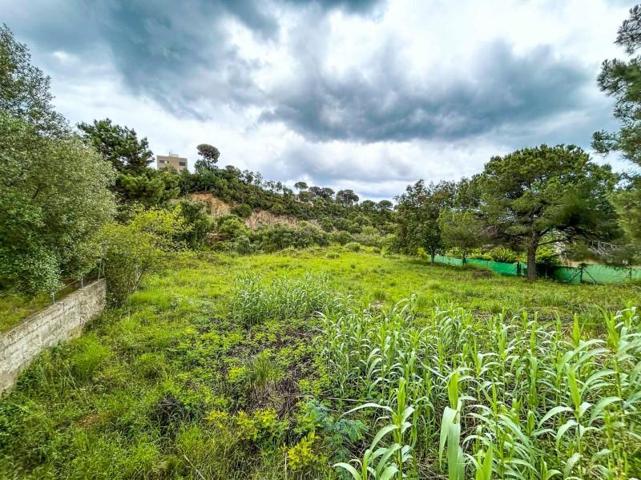 Parcela en venta en Lloret de Mar, Los pinares photo 0