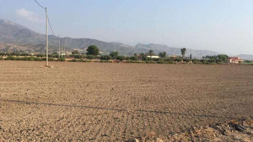 Parcela en venta en Lorca, LA HOYA photo 0