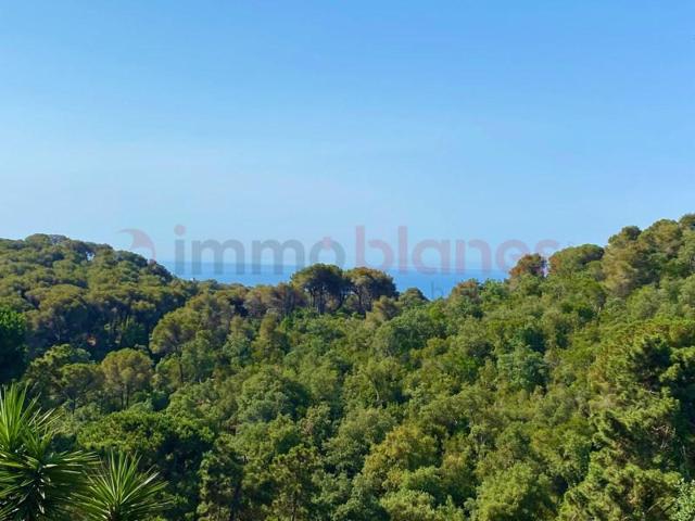 Parcela en venta en Lloret de Mar photo 0