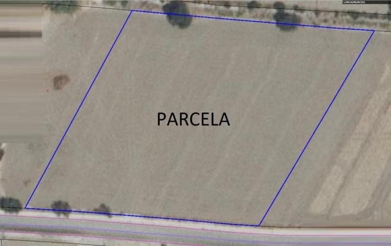 Parcela en venta en Lorca, La Hoya photo 0