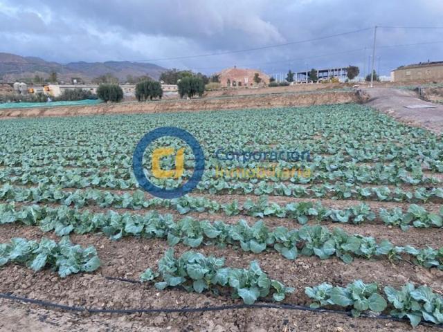 Parcela en venta en Lorca, Tercia photo 0