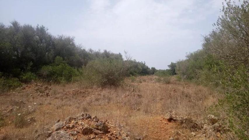 Parcela en venta en Algaida, Afueras photo 0