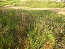 Parcela en venta en Vilablareix, Vilablareix photo 0