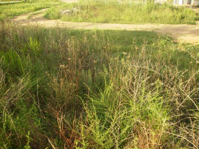 Parcela en venta en Vilablareix, Vilablareix photo 0