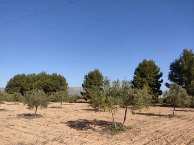 Parcela en venta en Almansa, San anton photo 0