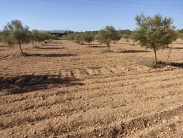 Parcela en venta en Almansa, El Hondo photo 0