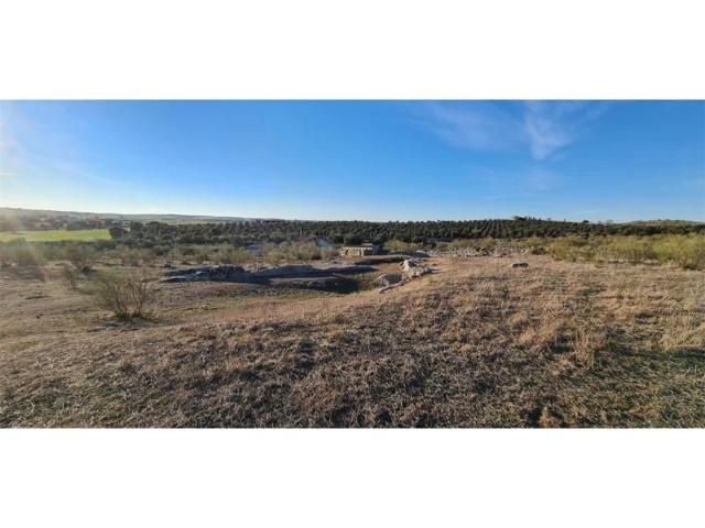 Parcela en venta en Añora photo 0