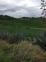 Parcela en venta en Cártama, Cartama photo 0