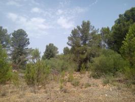 Parcela en venta en Algaida, Afueras photo 0