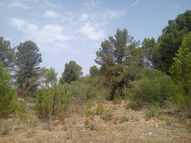 Parcela en venta en Algaida, Afueras photo 0