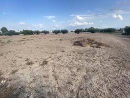 Parcela en venta en Lorca, La Pulgara photo 0