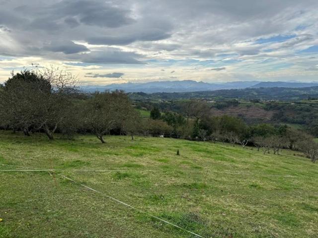 Parcela en venta en Gijón, San Martin de Huerces photo 0