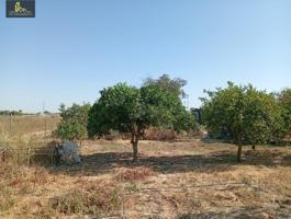 Parcela en venta en Jerez de la Frontera, Estella del Marqués photo 0