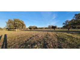 Parcela en venta en Añora photo 0