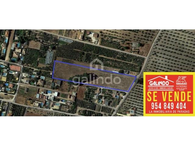 Parcela en venta en Paradas photo 0