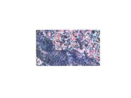 Parcela en venta en Alfaz del Pi, Sant Rafel photo 0