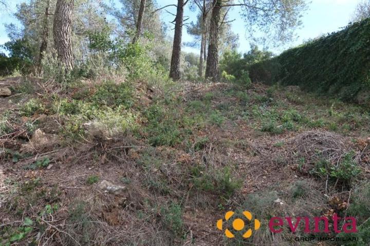 Parcela en venta en Olesa de Bonesvalls, Pla del Pelac photo 0