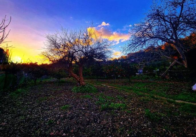 Parcela en venta en Benaocaz, Campo photo 0