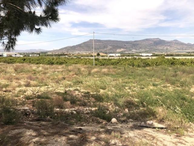 Parcela en venta en Blanca, Blanca photo 0