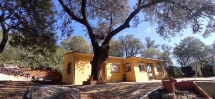 Parcela en venta en Benaocaz, Tavizna photo 0