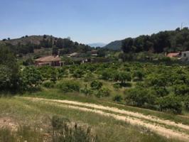 Parcela en venta en El Esparragal, El Esparragal photo 0