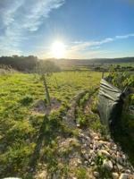 Parcela en venta en Algaida, Randa photo 0