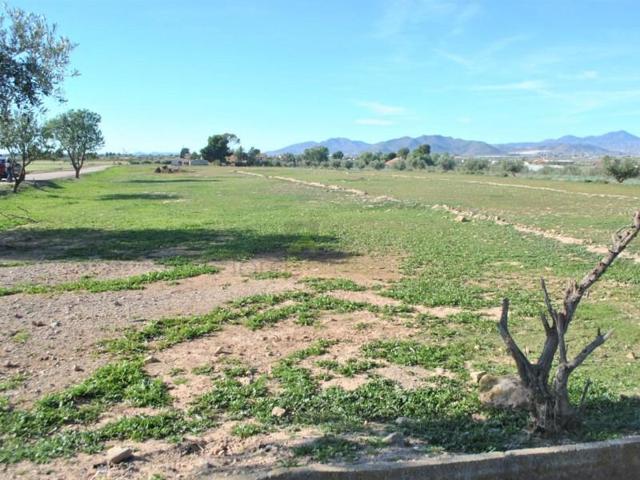 Parcela en venta en Lorca, Purias photo 0