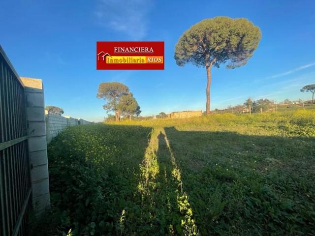 Parcela en venta en Alcalá de Guadaira, La Pirotecnia photo 0