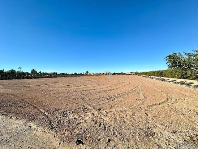 Parcela en venta en Elche, Asprillas photo 0