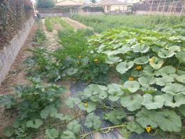 Parcela en venta en Vilobí del Penedès, Vilobí del Penedès photo 0