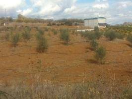 Parcela en venta en Cártama, Cartama photo 0