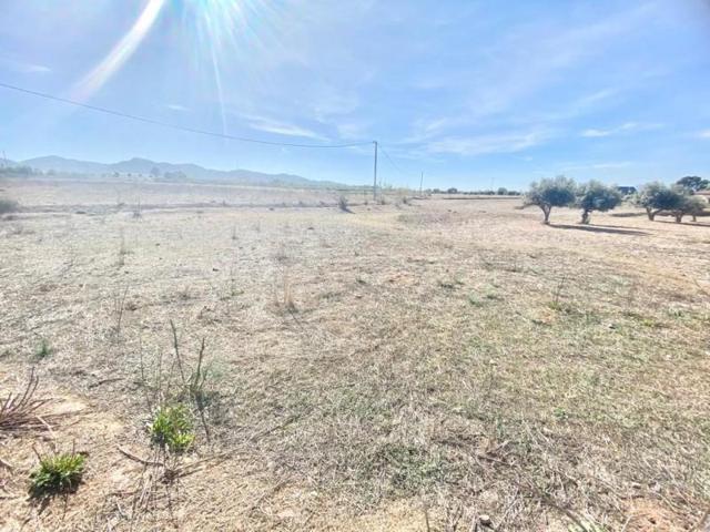 Parcela en venta en Lorca, Purias photo 0